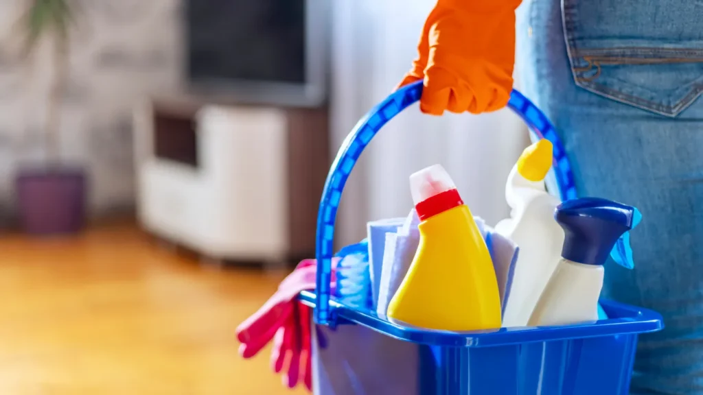 Natural cleaning products for the house to detox your house