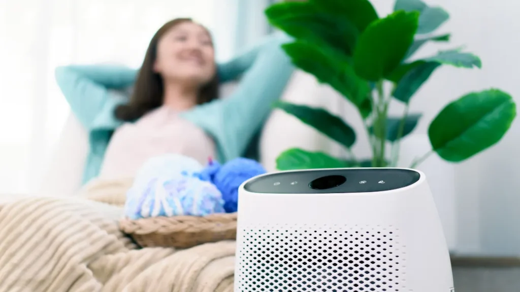 1st step to detox your home is to get an air purifier