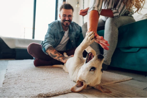 A couple which has adopted a pet dog which is a great way to celebrate any occasion instead of exchanging gifts