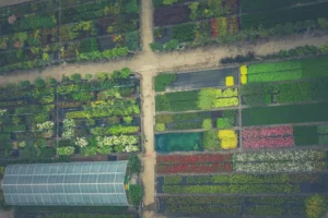 ancient technique Permaculture and Polyculture