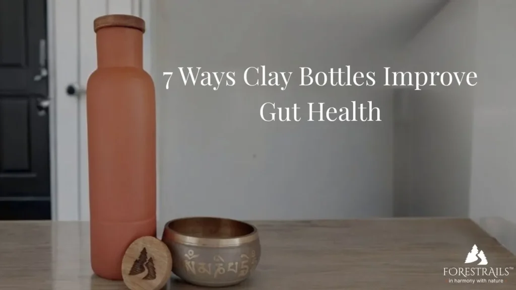 7 Effective Ways Clay Bottles Improve Gut Health