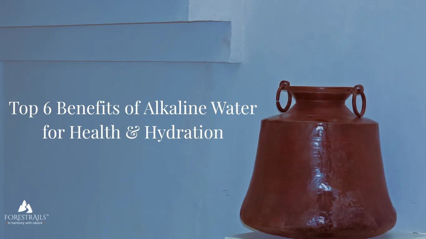 Top 6 Benefits of Alkaline Water for Health & Hydration