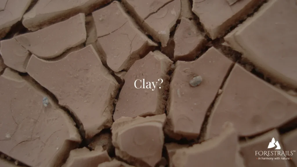 clay/ soill bottle