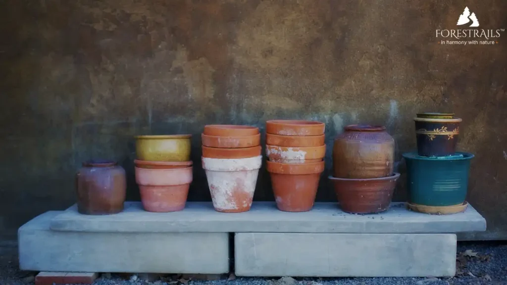 clay pots, terracotta planters