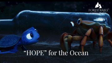 Hope short movie is a story of a baby sea turtle about plastic pollution in the ocean